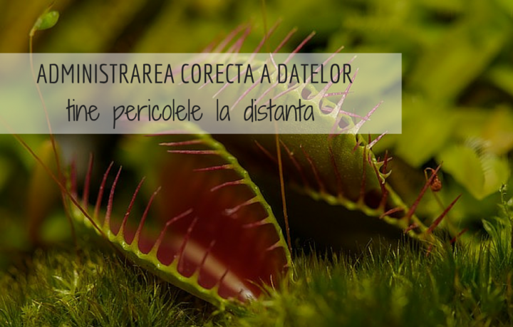 Care sunt pericolele datelor administrate gresit