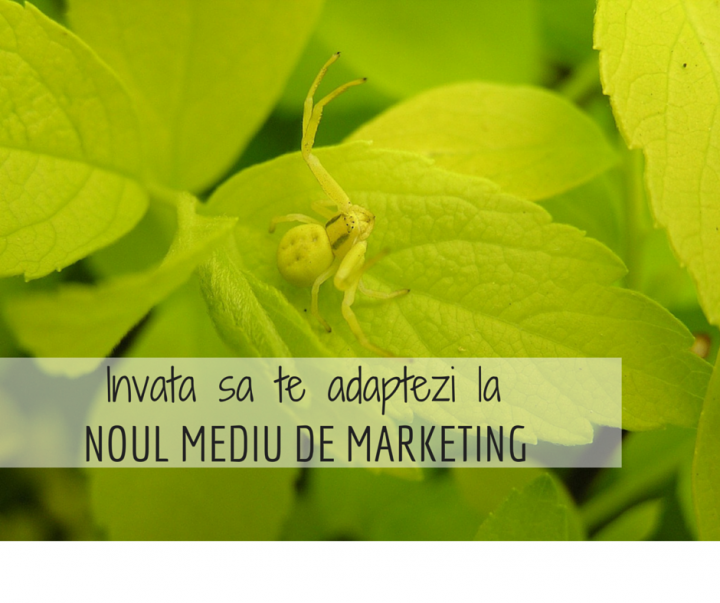 Cum sa tii pasul cu schimbarile in marketing