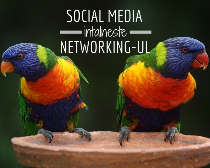 De ce social media si networking-ul sunt cuplul perfect