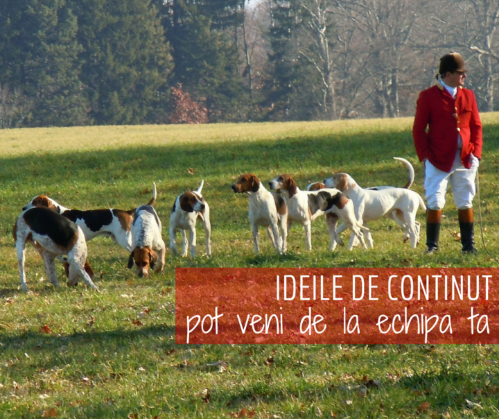 De ce ai nevoie de colegii din companie in vanatoarea de continut