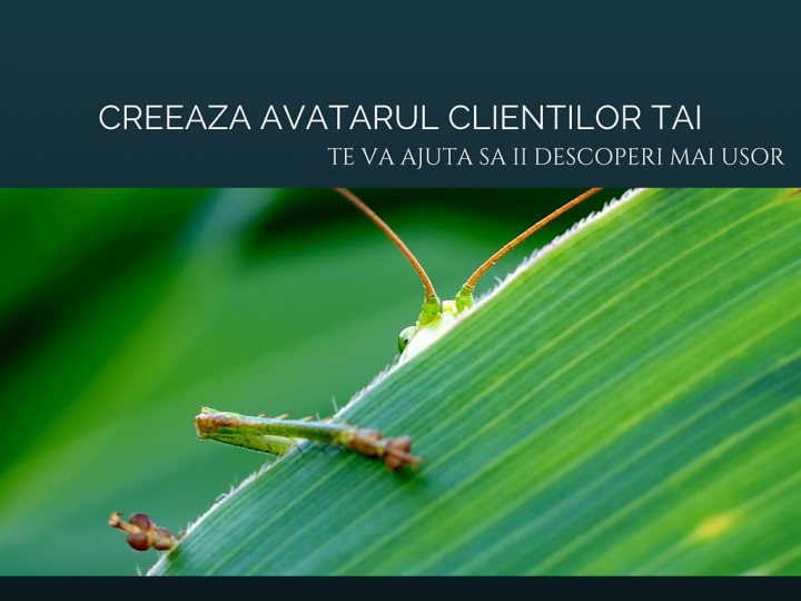 Cum sa descoperi avatarul clientilor tai ascuns in insight-uri pe Facebook